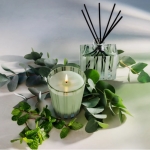 Wild Mint & Eucalyptus Reed Diffuser