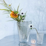 Small Clear Eye Vase